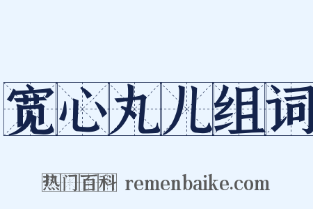 宽心丸儿组词是什么意思的图片